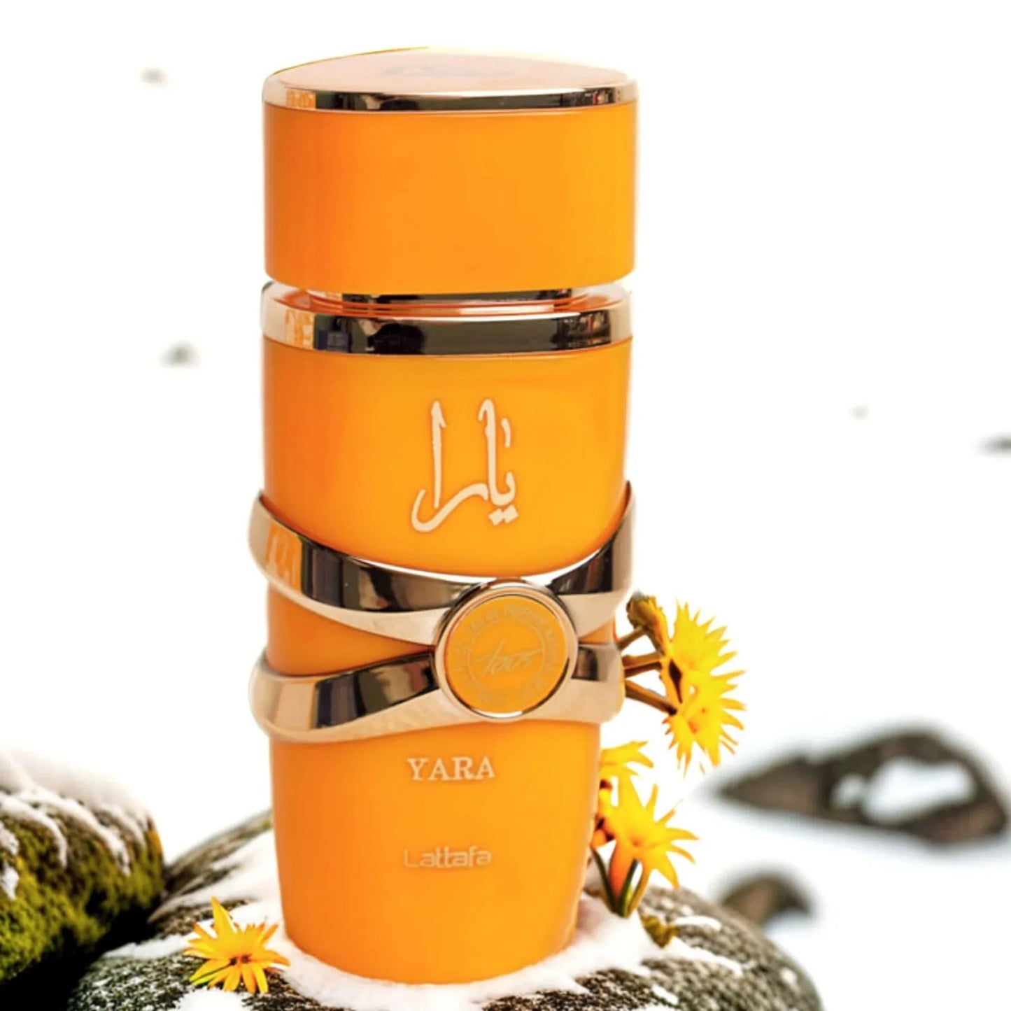 Lattafa Yara Tous Yellow Perfume Spray 3.4oz Lattafa Women's Elegant Spicy Fragrance Long-Lasting Lover Gift Set for Her