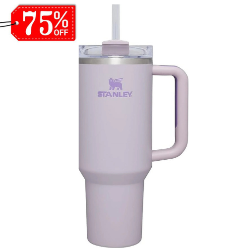 Stanley Quencher H2.0 FlowState Stainless Steel Vacuum Insulated Tumbler with Lid and Straw